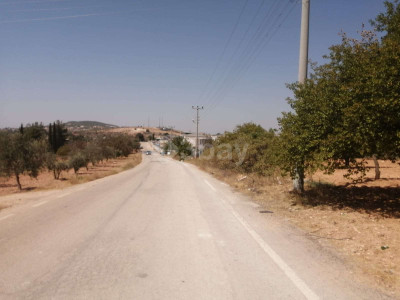 OĞUZELİ TEPEARDI'NDA A2 SATILIK ARSA